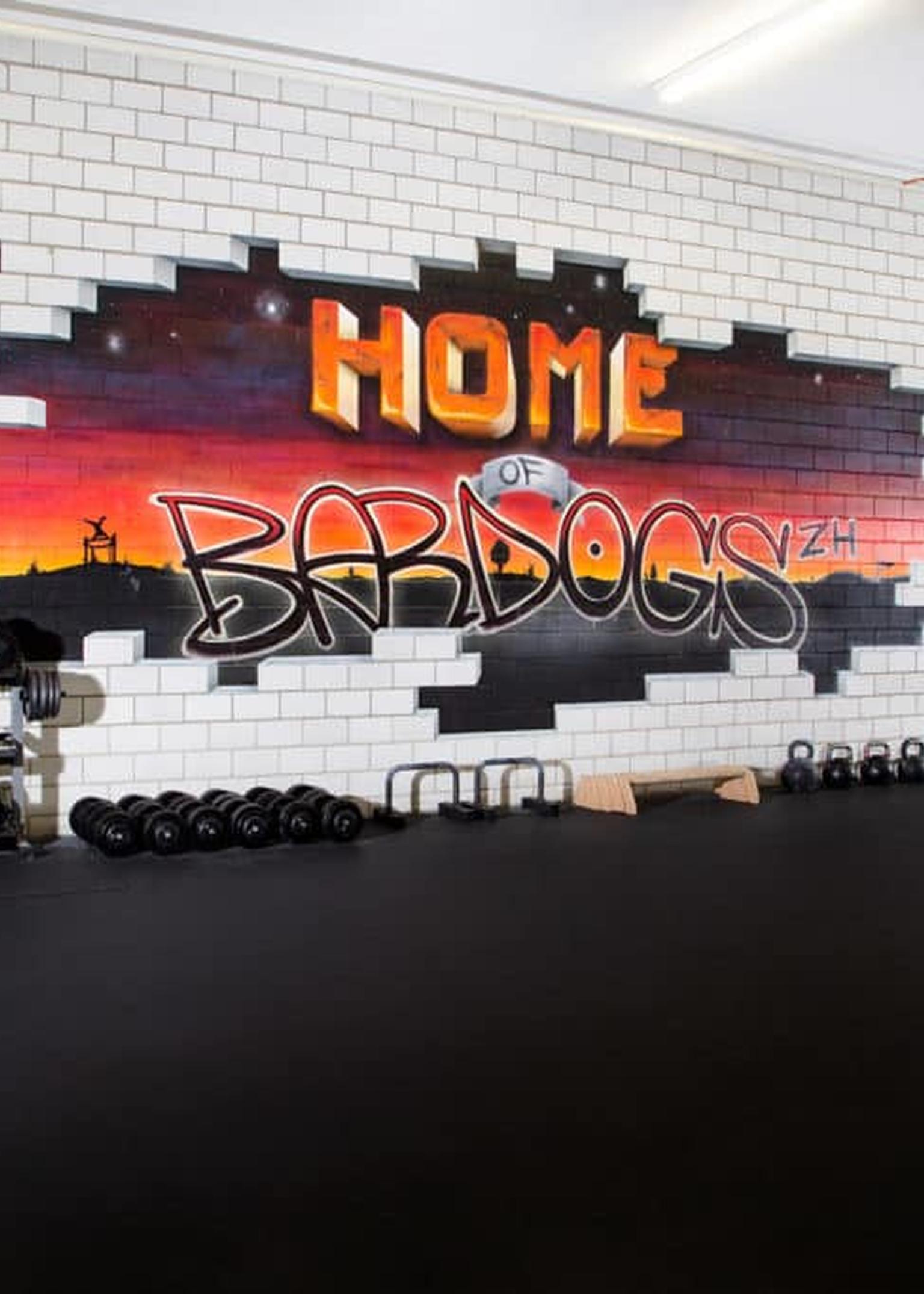 Bild von Die Entstehungsgeschichte von Bardogs