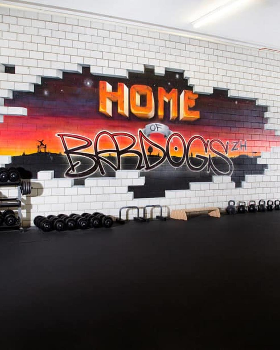 Bild von Die Entstehungsgeschichte von Bardogs